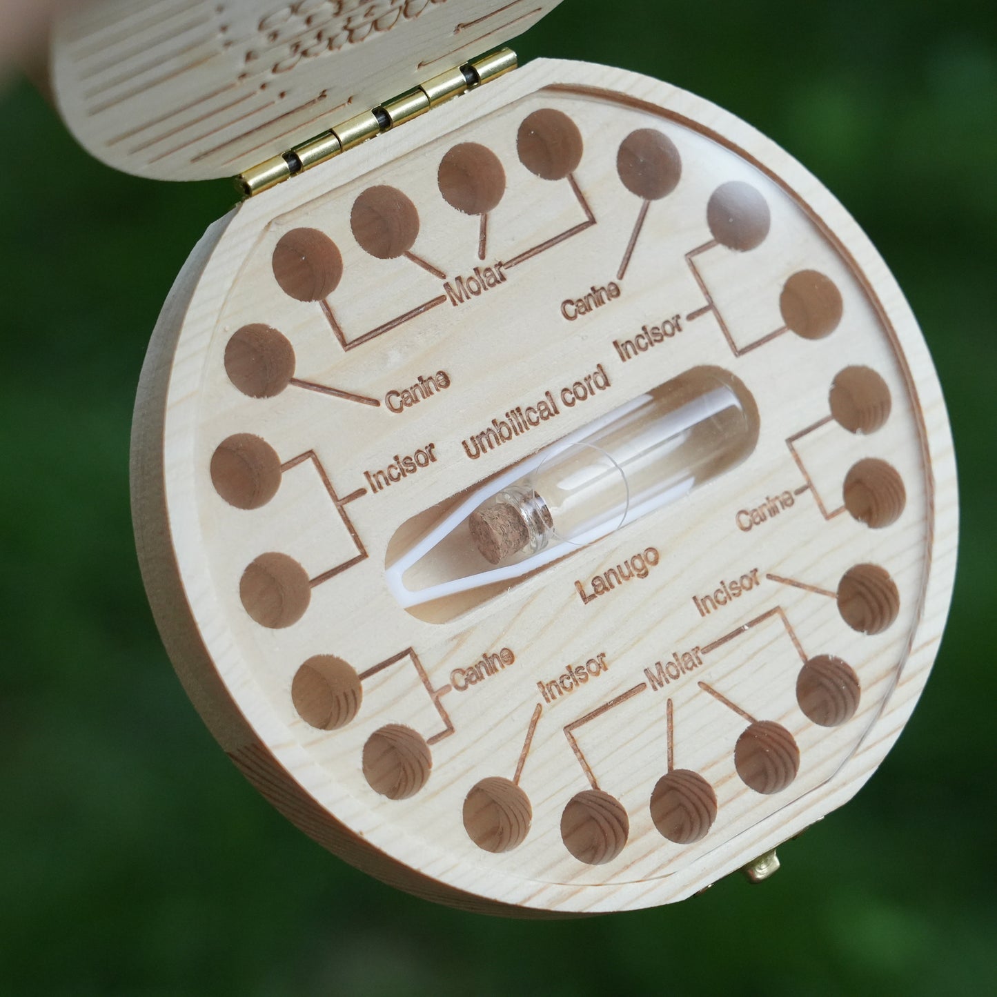 Personalized Wooden Tooth Fairy Box With Name,Milk Tooth Box Keepsake,Baby Shower Gift,Unique Gift, Back-to-school Gift,Baby Gifts For Birth