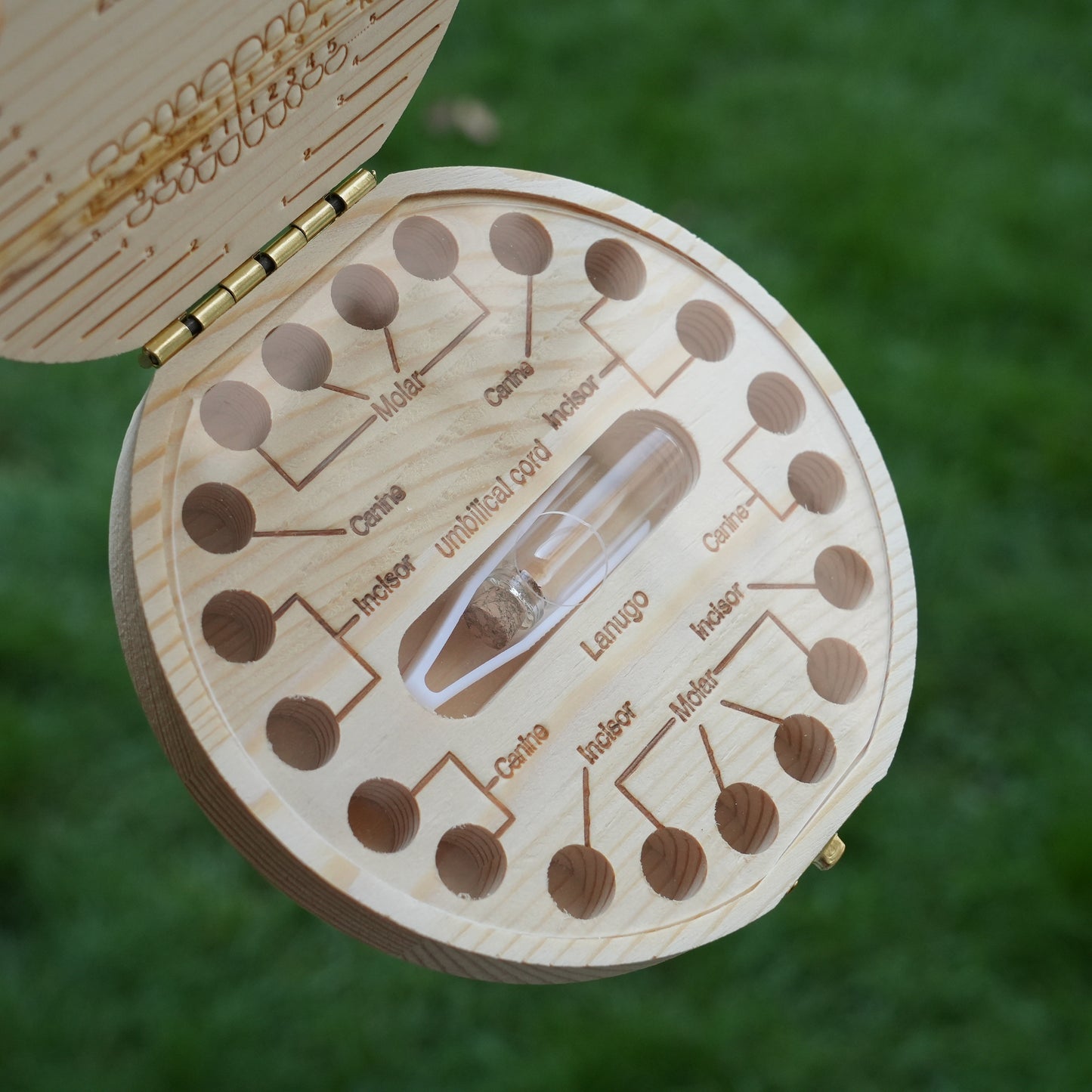 Personalized Wooden Tooth Fairy Box With Name,Milk Tooth Box Keepsake,Baby Shower Gift,Unique Gift, Back-to-school Gift,Baby Gifts For Birth